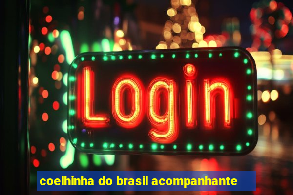 coelhinha do brasil acompanhante